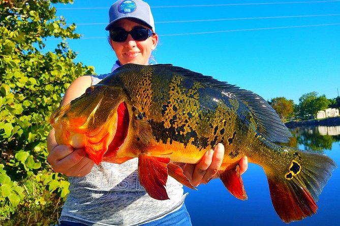 Peacock Bass Fishing Trip in Boynton Beach - Following the fish north or south