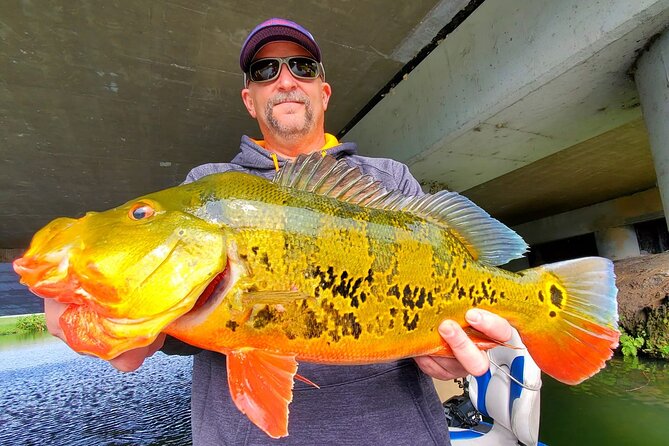 Peacock Bass Fishing Trip near Miami South Beach - What the $600 Price Really Means
