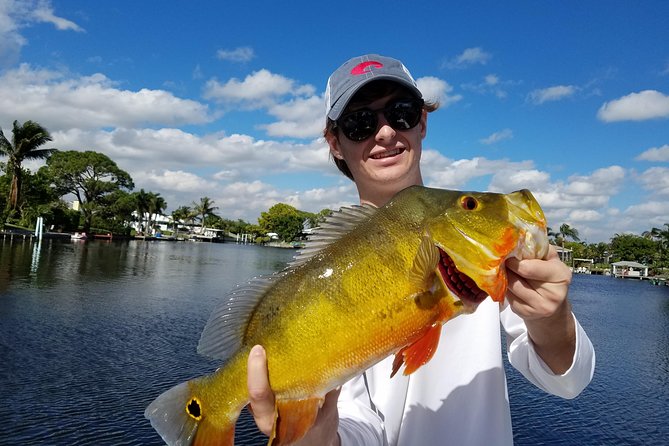 Peacock Bass Fishing Trip near West Palm Beach - Four hours on the Lake Osborne Chain