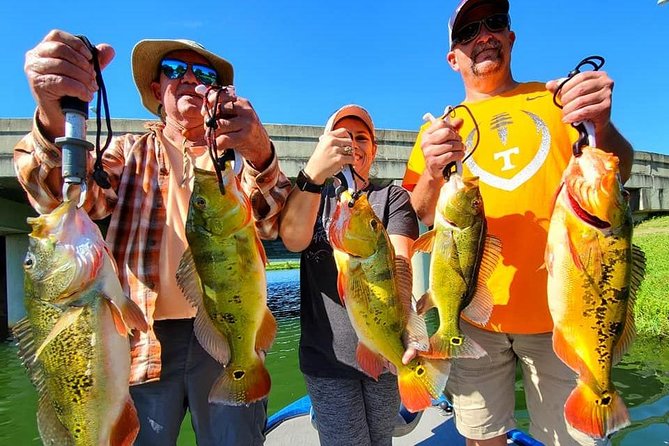 Peacock Bass Fishing Trips near Boca Raton - Booking and cancellation details that matter