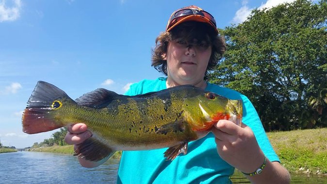 Peacock Bass Fishing Trips Near Key Largo - What your four to eight hours look like