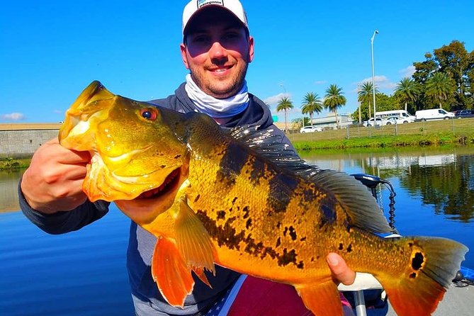 Peacock Bass Fishing Trips Near Miami Florida - Key points at a glance