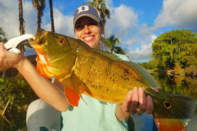 Peacock Bass Fishing Trips Near Miami Florida - Is $525 a fair price?