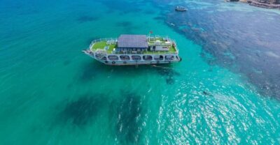 Snorkeling & Fishing in the South Island