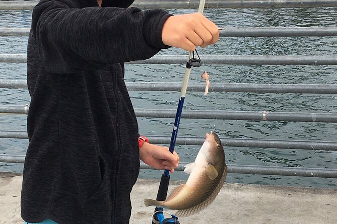 Pier Fishing Tour - San Diego - Shelter Island makes the meeting simple