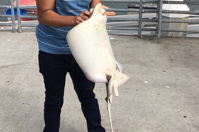 Pier Fishing Tour - San Diego - Included equipment keeps the outing easy