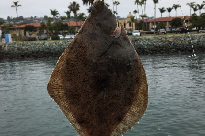 Pier Fishing Tour - San Diego - Who will enjoy this most