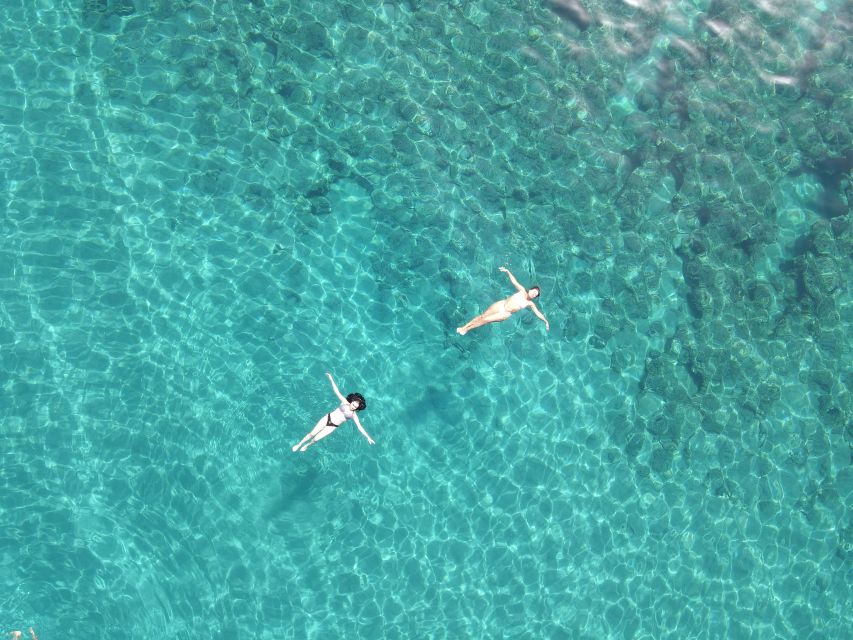Pizzo: Fishing, Snorkeling, Dolphin Watching - Should you book the Pizzo boat trip?