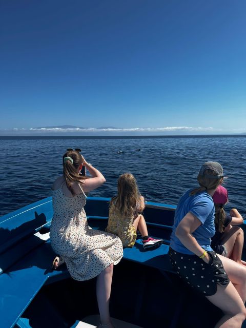Pizzo: Fishing, Snorkeling, Dolphin Watching - Trying your hand at trolling