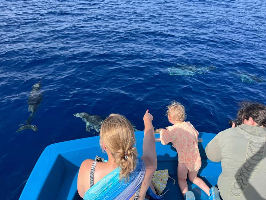 Pizzo: Fishing, Snorkeling, Dolphin Watching - Swimming near the Piedigrotta cave-chapel