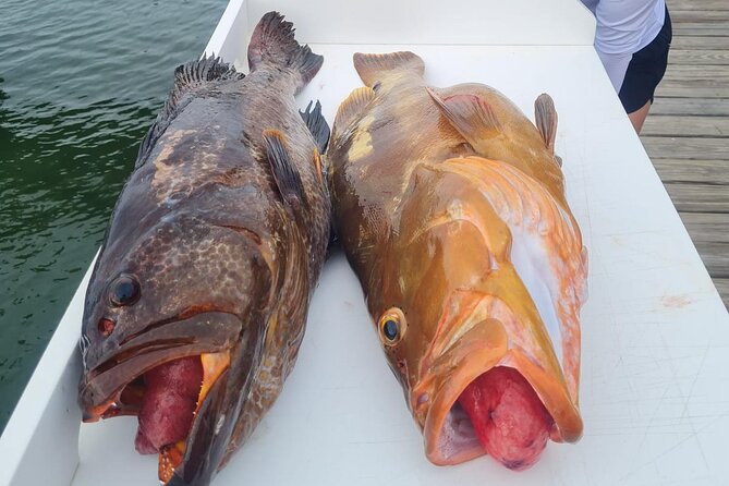 Private 1/2 Day Afternoon Bottom Fishing Charter on "Shady Grady" - Bottom fishing on Providenciales’ outer reef