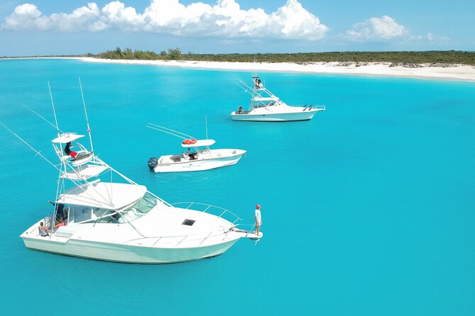 Private 1/2 Day Afternoon Charter Deep Sea Fishing on Wahooter's - The crew can make or break the day