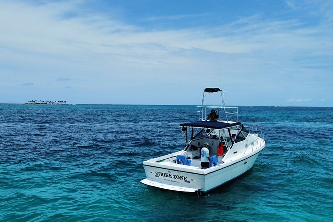 Private 38' Defender Sportfishing/Swim with Pigs in Nassau - Key things to know before you book