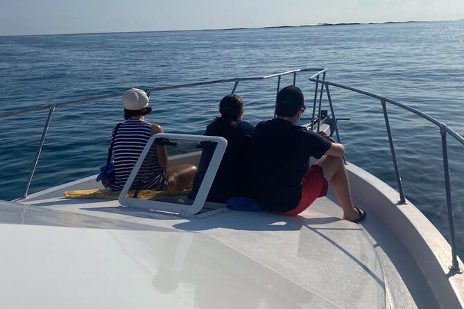 Private 38' Defender Sportfishing/Swim with Pigs in Nassau - Meeting at Paradise Island Marina