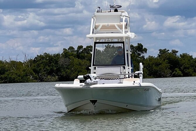 Private 4 Hour Shelling , Fishing and Eco Tour Marco Island FL - What the private format is worth at $675
