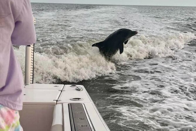 Private 4 Hour Shelling , Fishing and Eco Tour Marco Island FL - How Captain Jason shapes the day