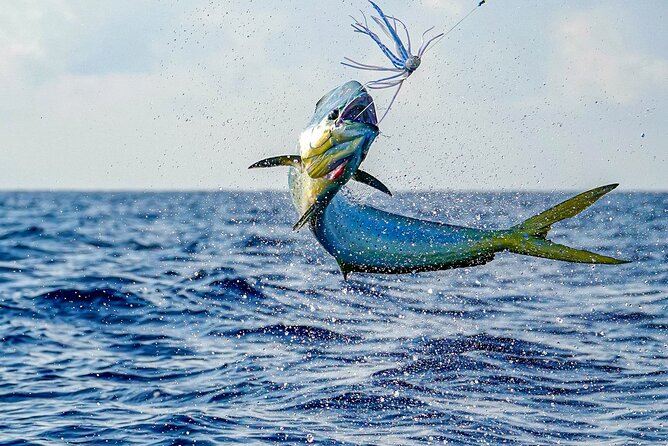 Private 6 Hour Fishing Charter in Nassau - Private group size and who gets the best value