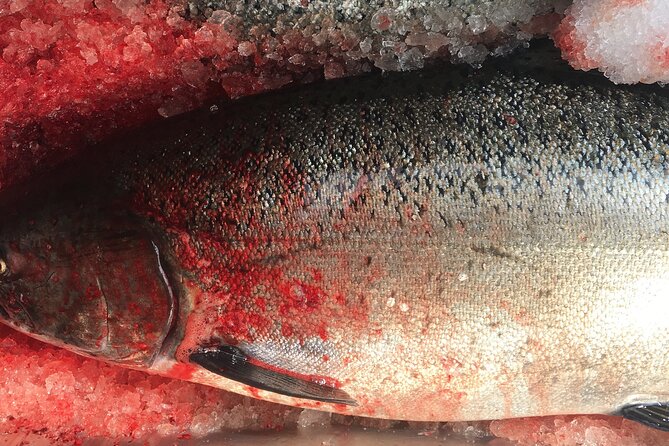 Private Alaska Salmon Fishing—Up to 6 Guests, Priced by Group - Key points to know before you book