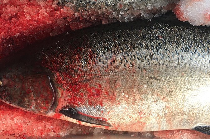 Private Alaska Salmon Fishing—Up to 6 Guests, Priced by Group - Should you book Fishability Alaska?