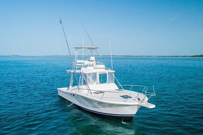 Private Bahamas Half-Day Fishing Tour from New Providence - Snorkeling is a useful backup plan