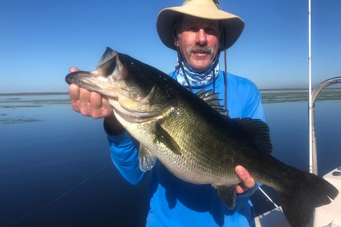 Private Bass Fishing Charter Near Disney World - Stop 3: Lake Tohopekaliga and the main fishing session
