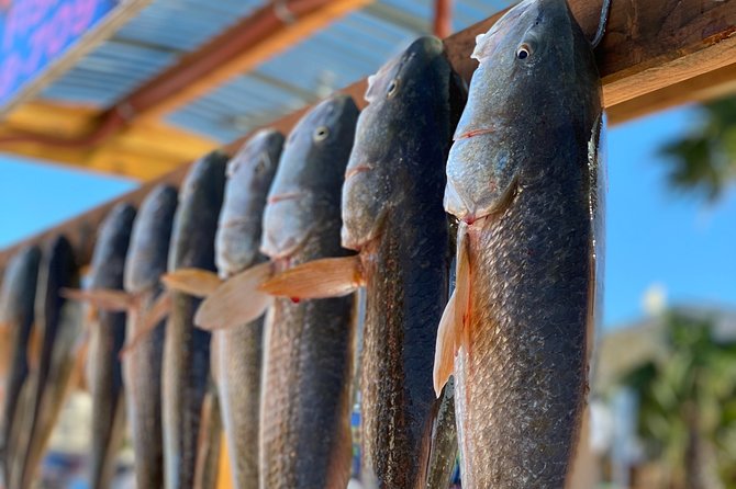 Private Bay Fishing South Padre Island - Key points to know before you go