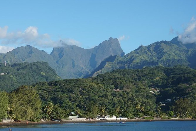 Private Big Game Fishing Day - Returning to the lagoon for rays, sharks, and lunch