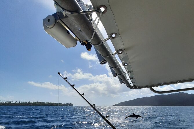 Private Big Game Fishing Tour in Raiatea - Raiatea Fishing Tour: Key Points