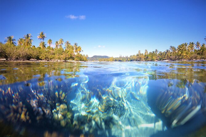 Private Big Game Fishing Tour in Raiatea - Lunch on Board and a Lagoon Snorkeling Break