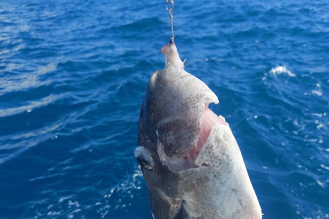 Private Big Game Fishing Tour in Raiatea - Who Will Enjoy This Fishing Day Most