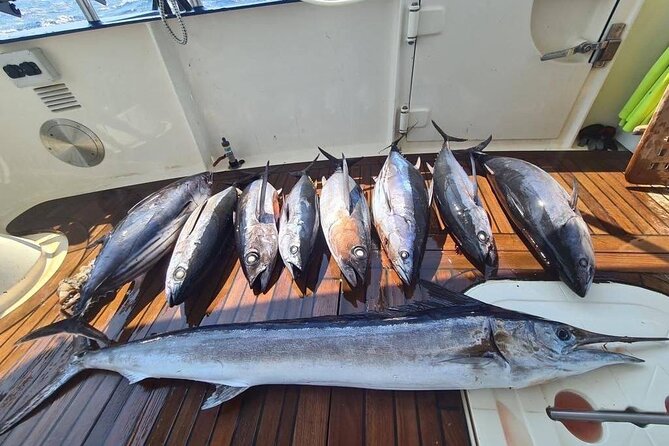 Private Boat and Fishing Tours in Greek Islands - Swimming, sunbathing, and time between activities