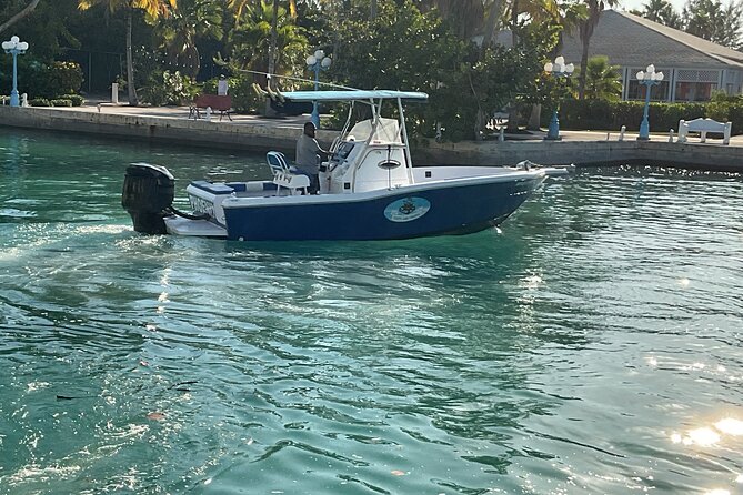 Private Boat Tours & Fishing Charters in Nassau, Bahamas - Who will enjoy this boat day most?