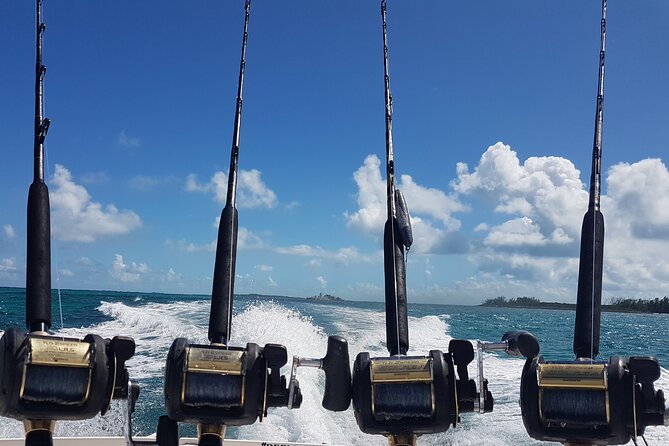 Private Charter for snorkeling, swimming pigs, turtles & fishing.... - The boat ride, comfort, and safety