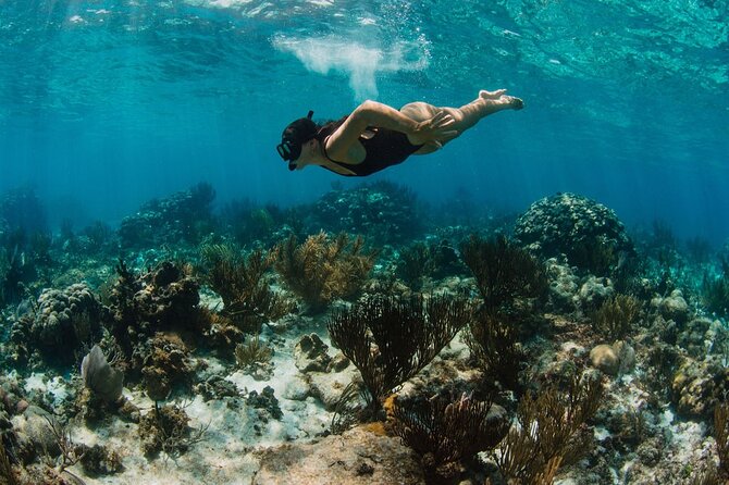 Private Charter Reef fishing, Stingray City, Snorkel, Mangroves - Snorkeling where the water takes over