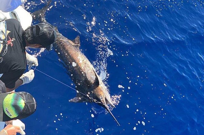 Private Deep Sea Full-Day Fishing Charter in Hawaiian Waters - Chasing marlin, ahi, mahimahi, and ono