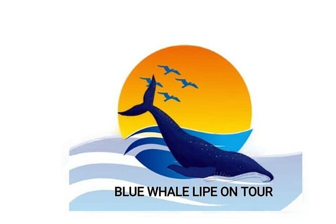 Private Experience with Fishing, Barbeque, Sashimi and Snorkeling - Key points to know before booking