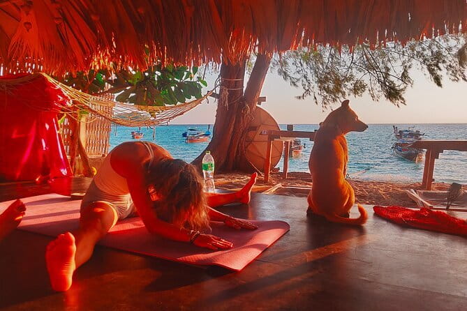 Private Experience with Fishing, Barbeque, Sashimi and Snorkeling - A beach break and a captain-cooked barbecue