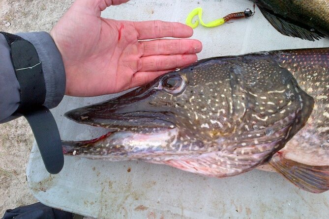 Private Fishing Adventure on the St. Lawrence River - Fishing with Michel and young children