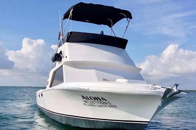 Private fishing charter Bertram 31ft 6 pax max if you don't fish you don't pay - The Bertram boat and space for six