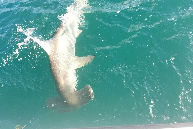 Private Fishing Charter Florida Keys - Why the private $800 price can make sense