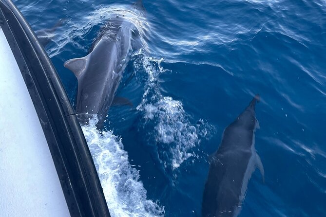 Private Fishing Charter for Family and Friends in Honolulu - Who should book this charter