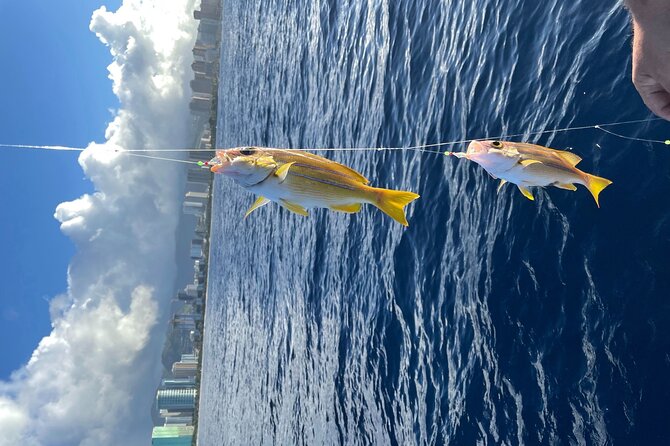 Private Fishing Charter for Family and Friends in Honolulu - Practical details that matter