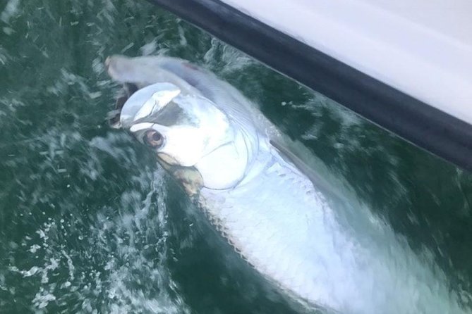 Private Fishing Charter from Ramrod Key - Catching fish for dinner, or releasing the action