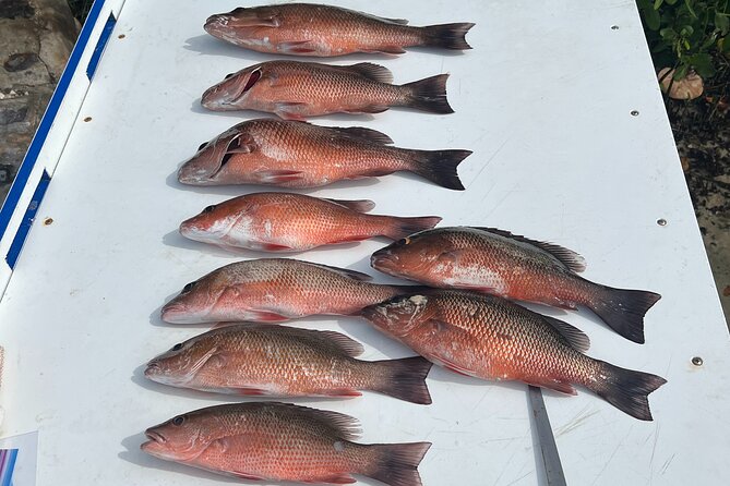 Private Fishing Charter in Tampa - Gear Is Included, but Meals Are Not
