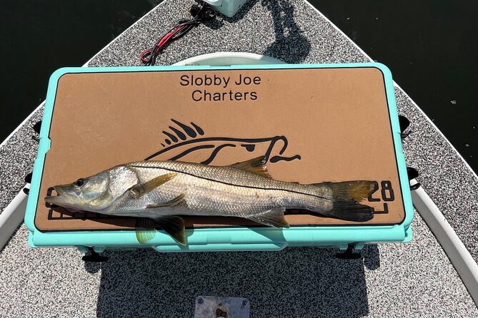 Private Fishing Charter in Tampa - Is $650 a Fair Price?