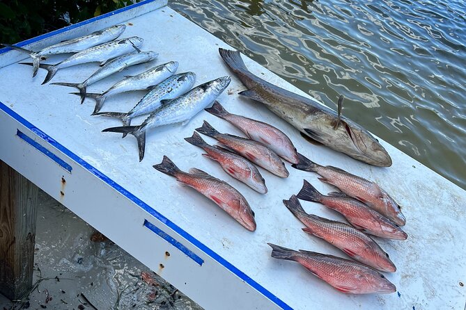 Private Fishing Charter in Tampa - Who Will Enjoy This Charter Most?