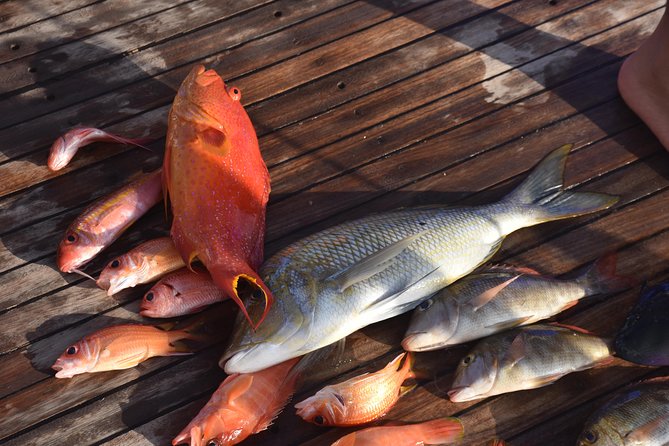 Private Fishing Day Boat With Equipment and Transfer – Hurghada - Lunch, coffee, tea, and soft drinks aboard