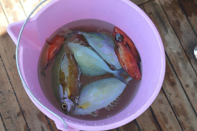 Private Fishing Full Day Boat with Equipment and Lunch - Hurghada - Who will enjoy this day most?