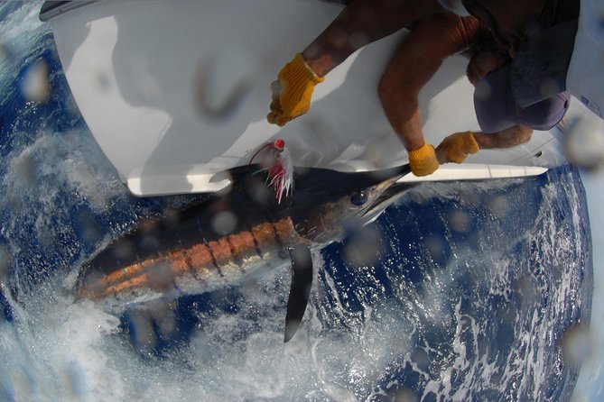 Private Fishing in St Lucia Charters - Is four hours enough?