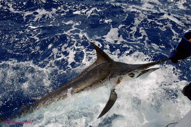 Private Fishing in St Lucia Charters - What the 4.6 rating tells you